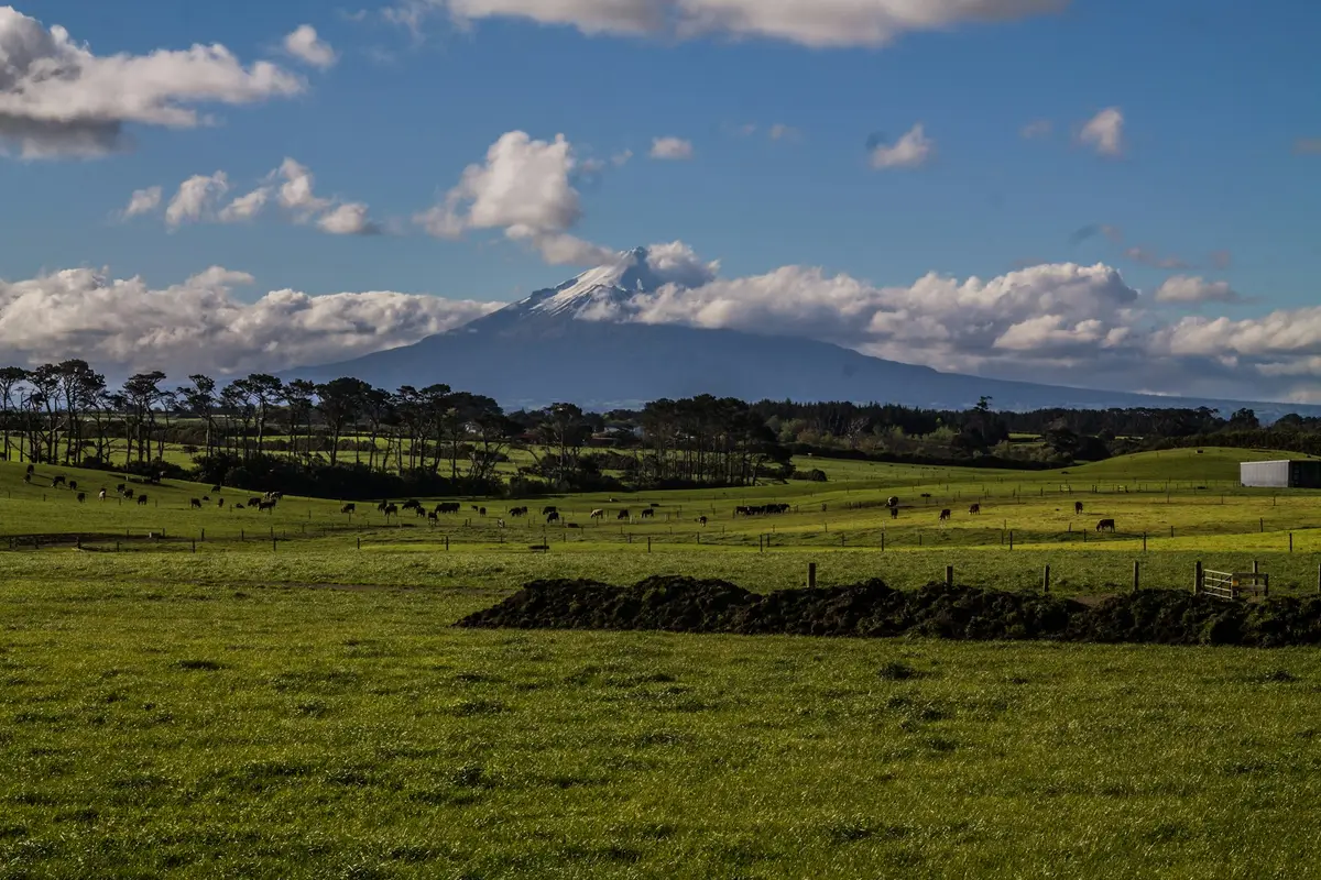 Mount Taranaki rising above green farmland