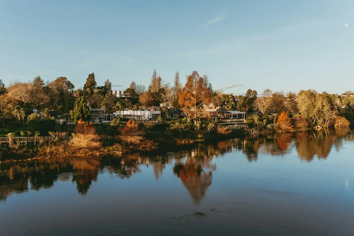 Trees and houses along the Waikato River in Hamilton