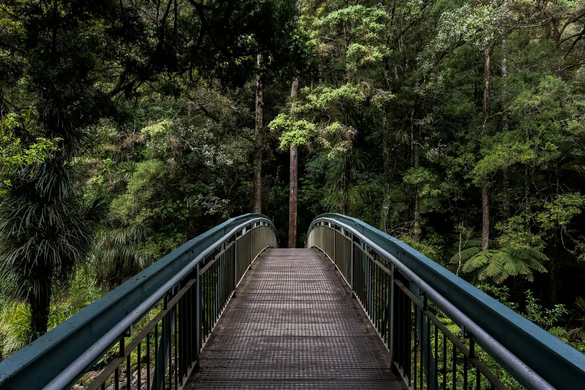Footbridge at Whangārei Falls