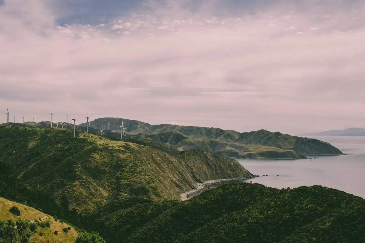 Wind turbines on a hill above the water in New Zealand