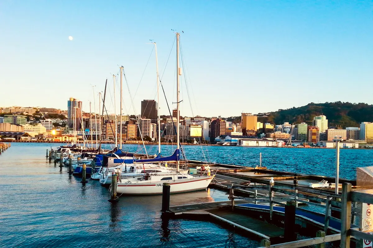 Wellington marina at sunrise