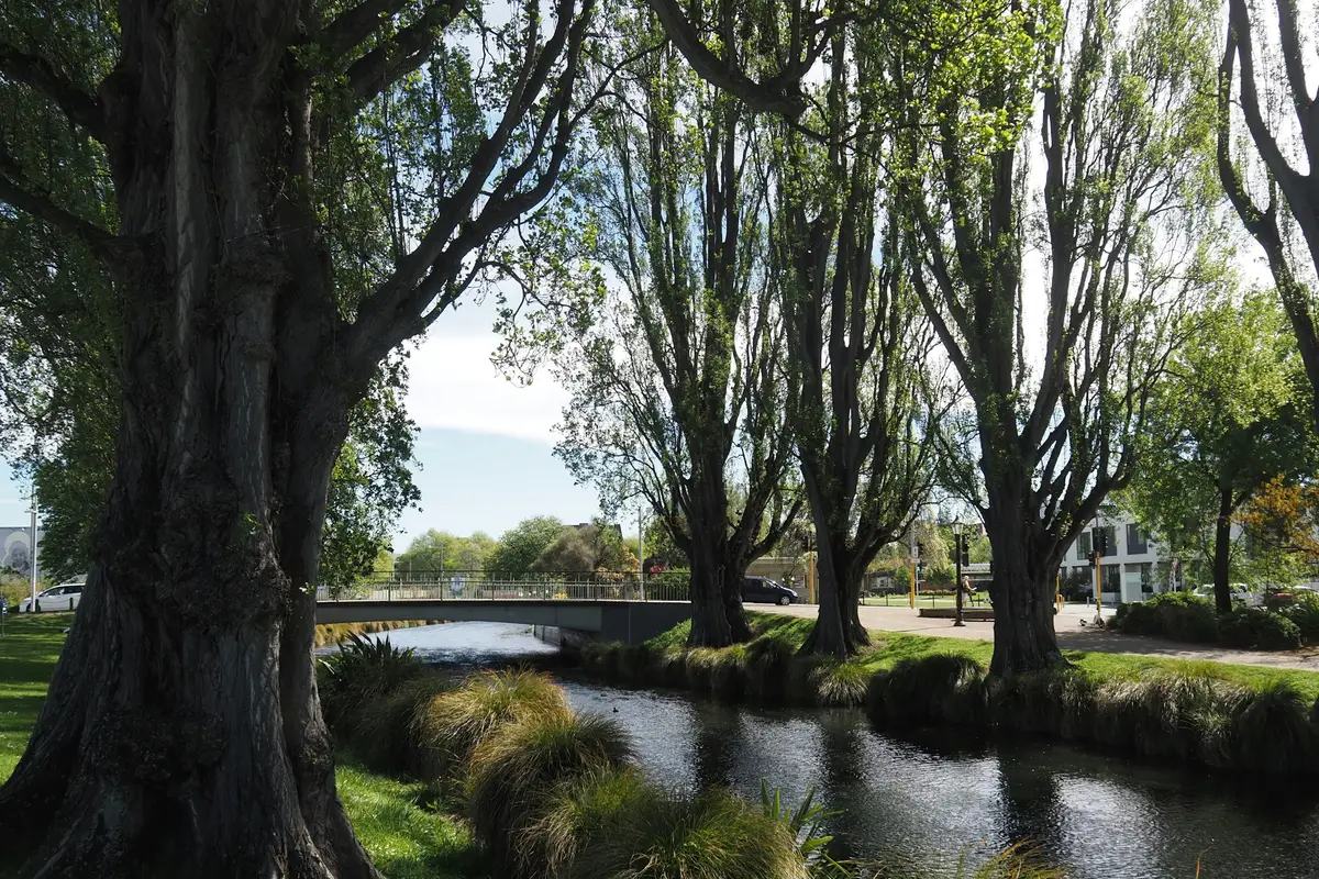 The Avon River Ōtākaro lined with trees in central Christchurch