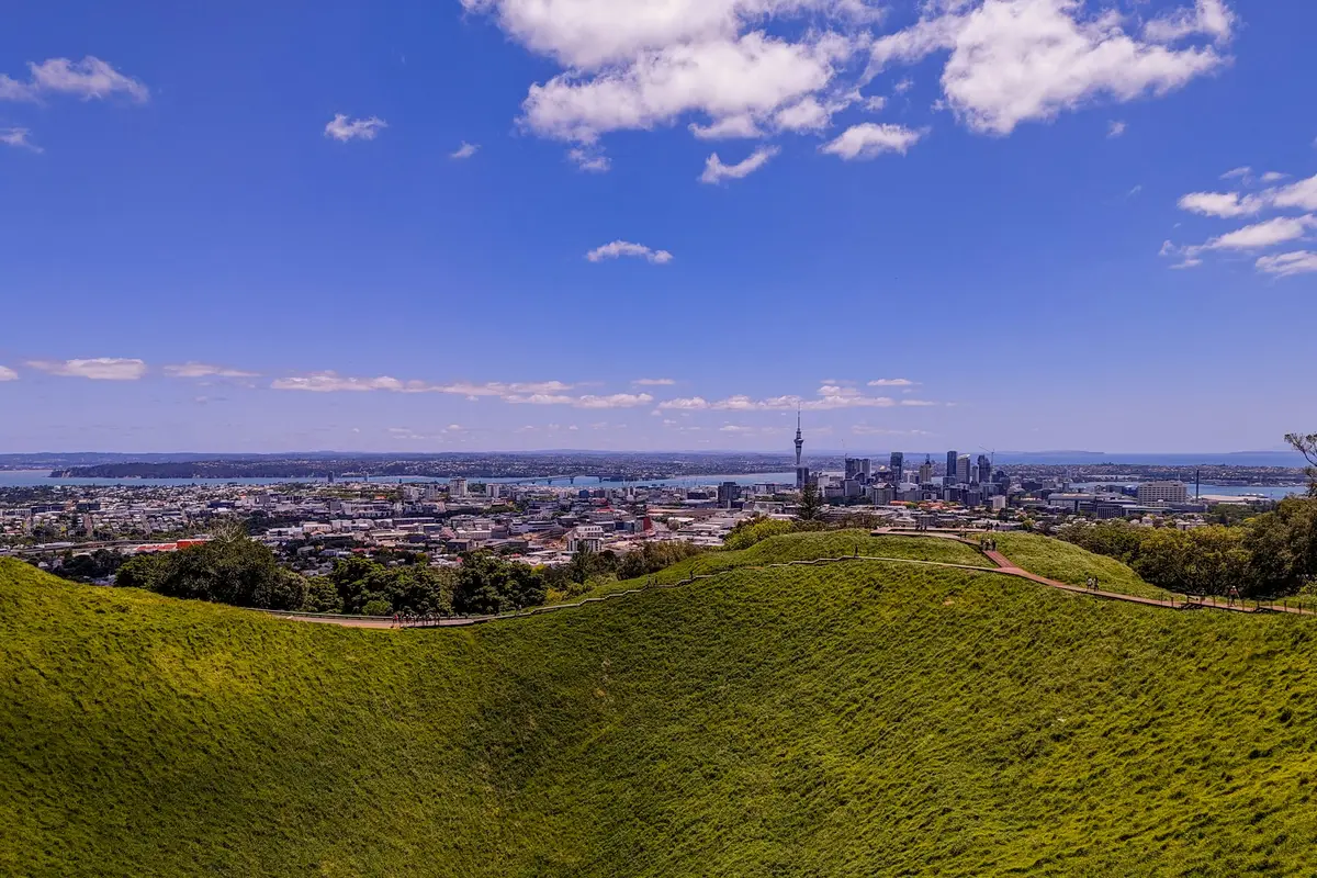 Wellington city from the top of a hill