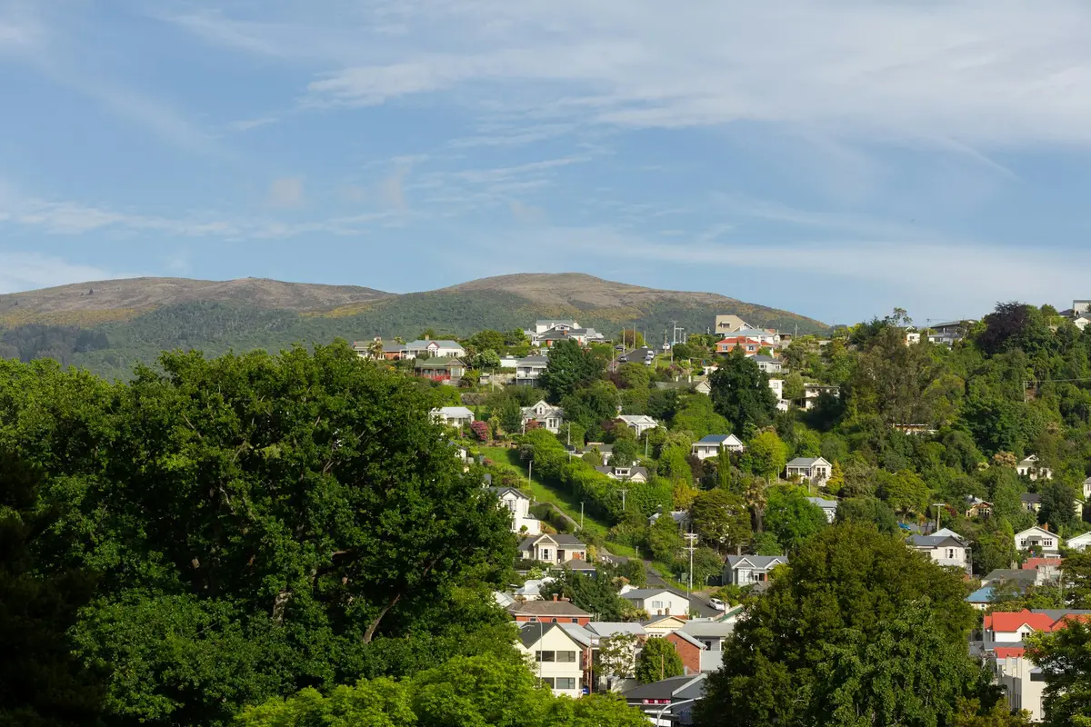 Hillside houses in a Dunedin neighbourhood