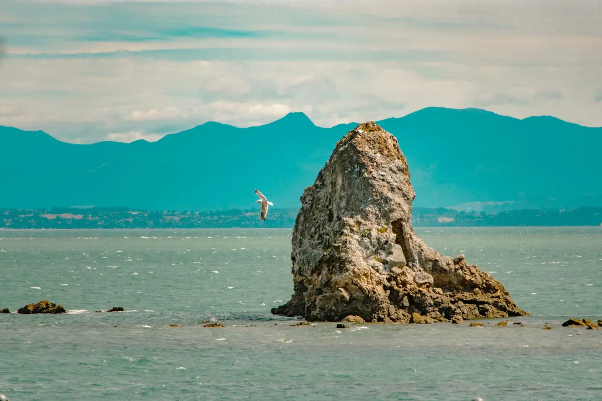 Fifeshire Rock at Tahunanui in Nelson