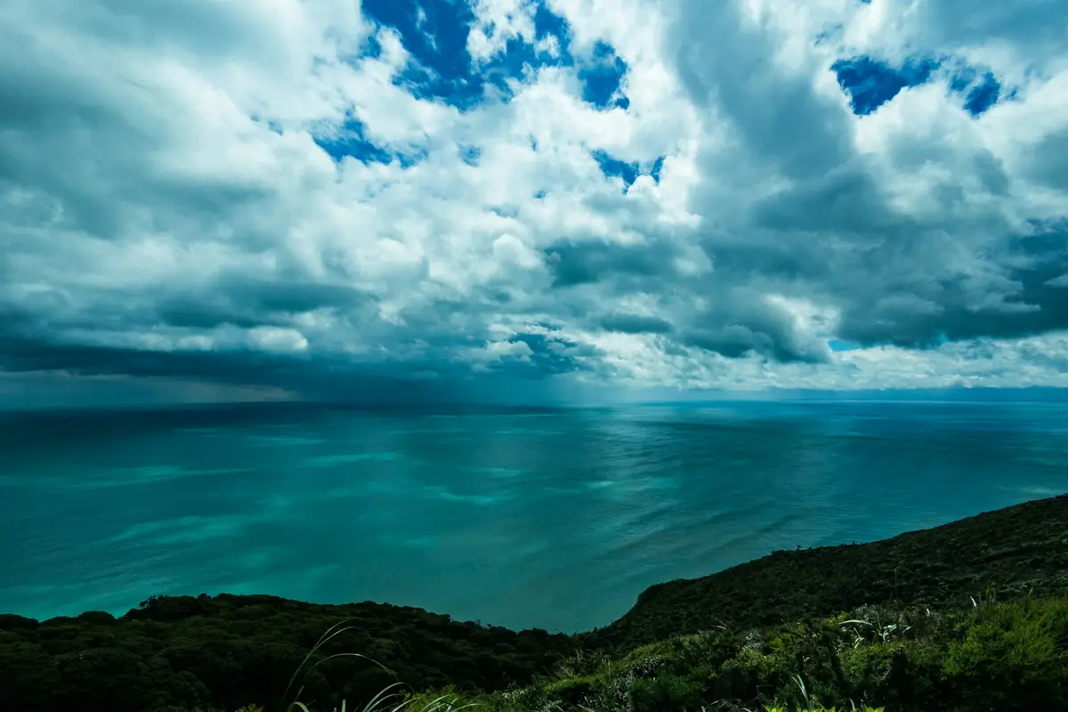 Calm harbour waters surrounded by green hills in New Zealand