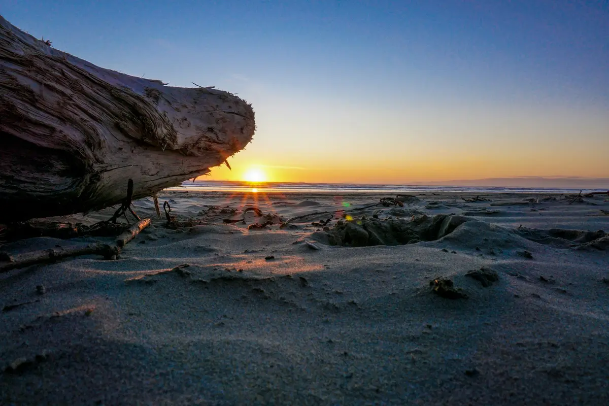 Rocky shore at sunset near Invercargill