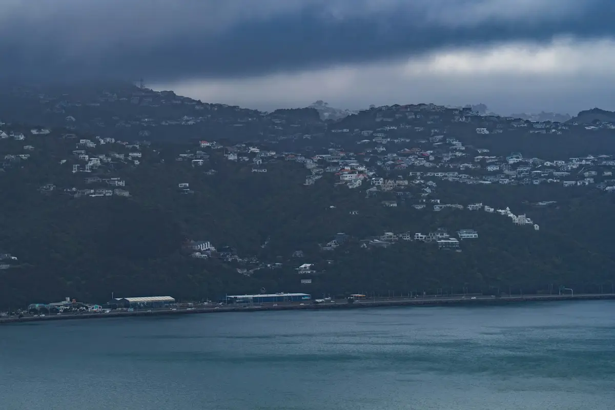 Houses on a steep hillside above Wellington Harbour