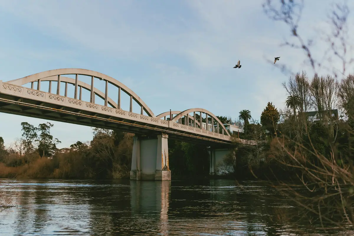 Bridge over the Waikato River in Hamilton with a bird in flight