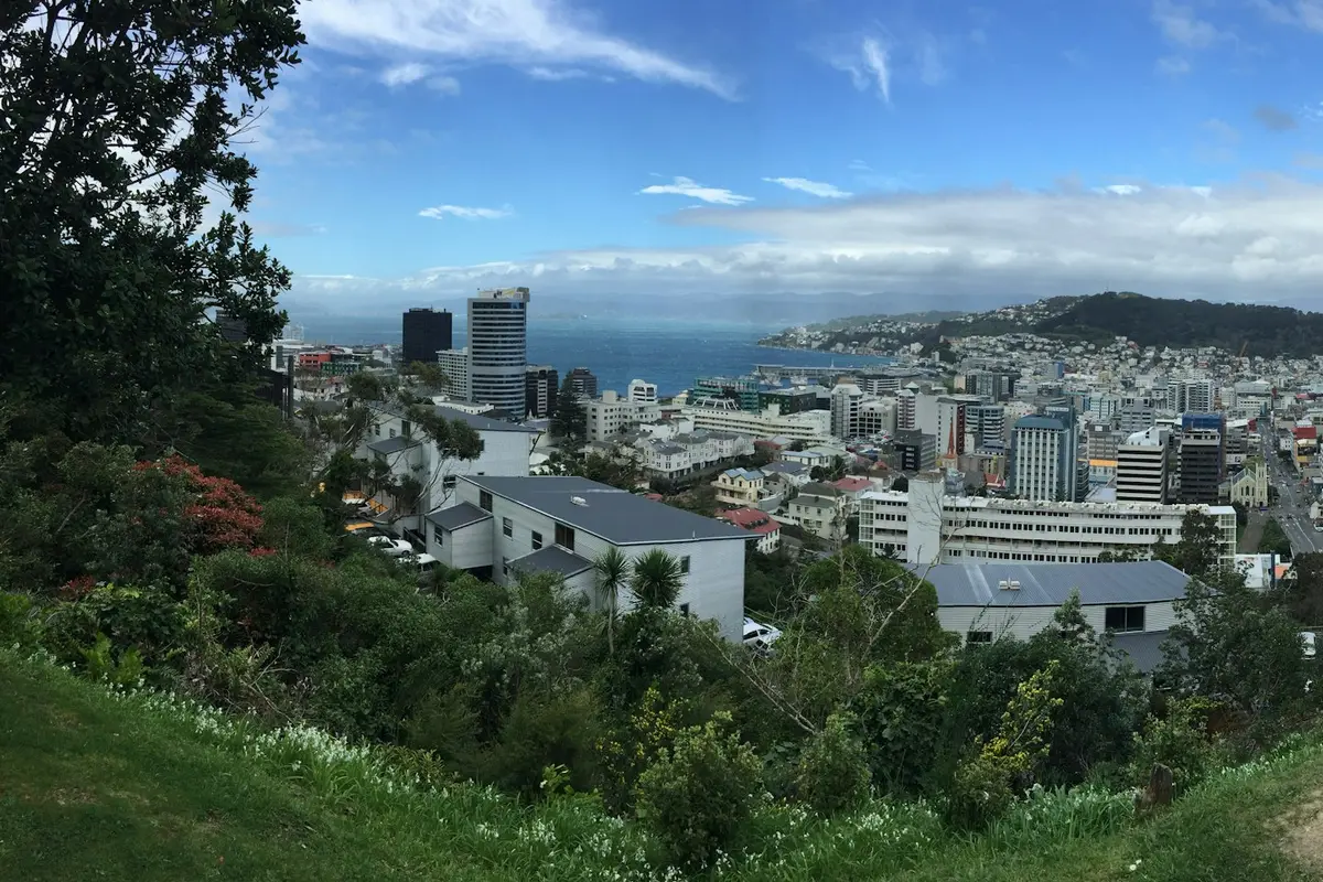 Wellington city high-rises seen from Kelburn under a blue sky