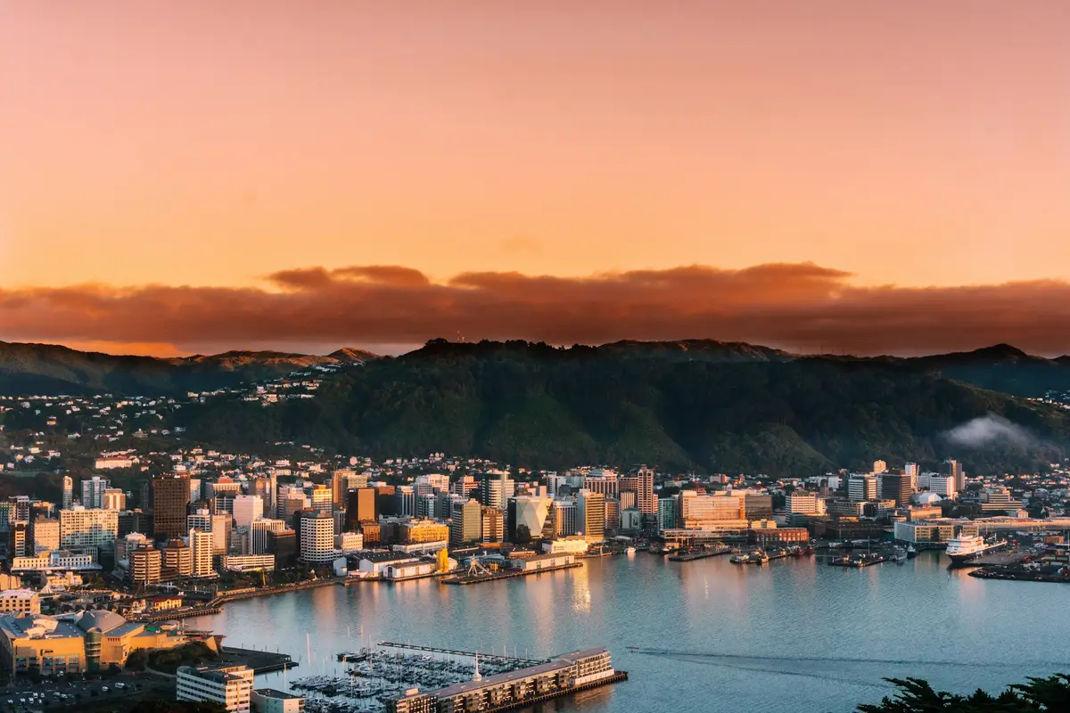 Wellington city buildings at sunrise from above