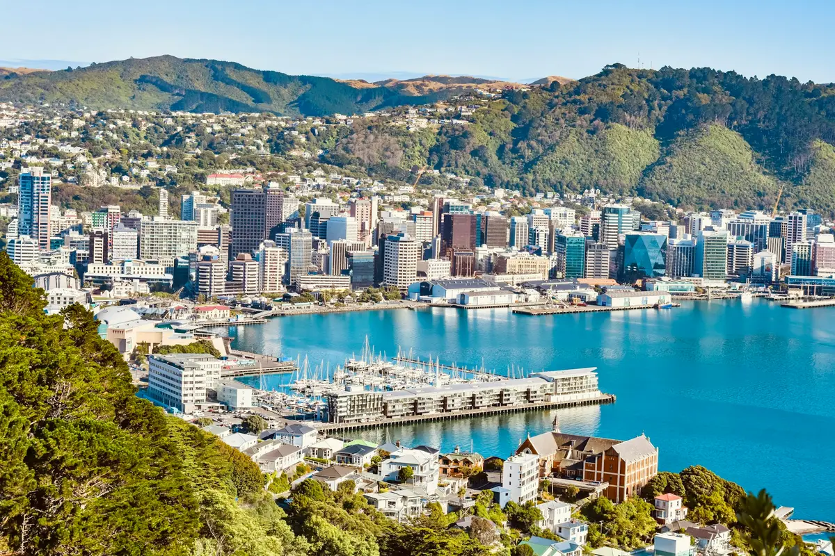 Wellington cityscape with the harbour, boats and green hills